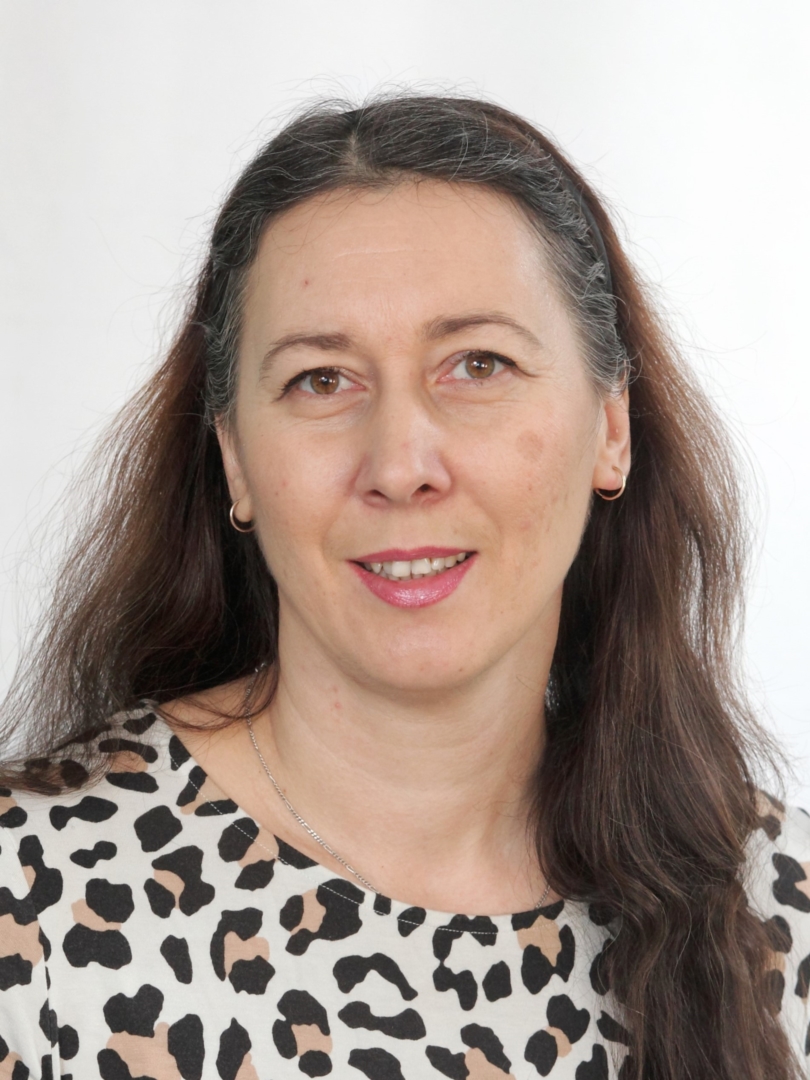 Климова Ирина Анатольевна Климова Ирина Анатольевна.